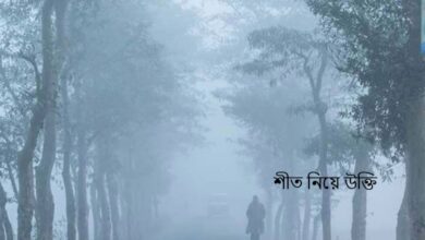 শীত নিয়ে উক্তি