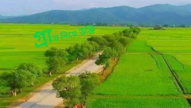 গ্রাম নিয়ে উক্তি
