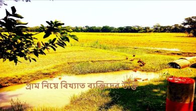 গ্রাম নিয়ে বিখ্যাত ব্যক্তিদের উক্তি