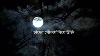 চাঁদের সৌন্দর্য নিয়ে উক্তি