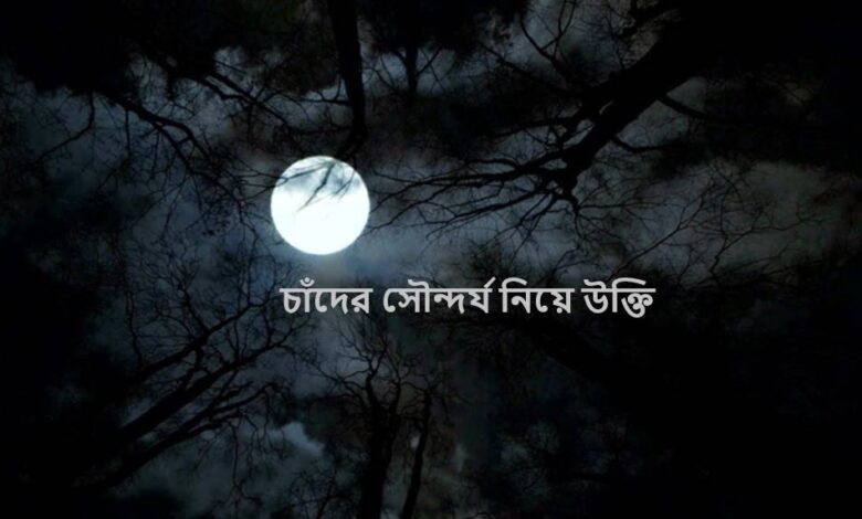 চাঁদের সৌন্দর্য নিয়ে উক্তি