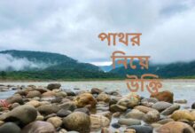 পাথর নিয়ে উক্তি