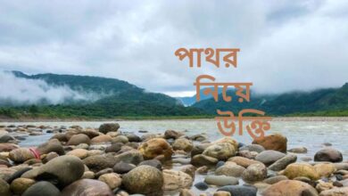 পাথর নিয়ে উক্তি