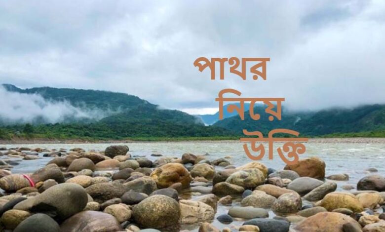 পাথর নিয়ে উক্তি