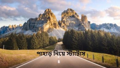 পাহাড় নিয়ে উক্তি, বাণী, স্ট্যাটাস