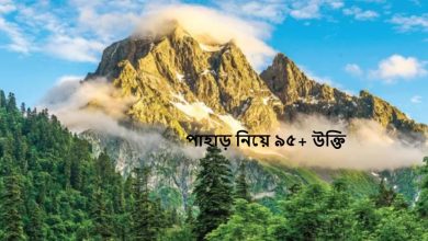 পাহাড় নিয়ে ৯৫+ উক্তি