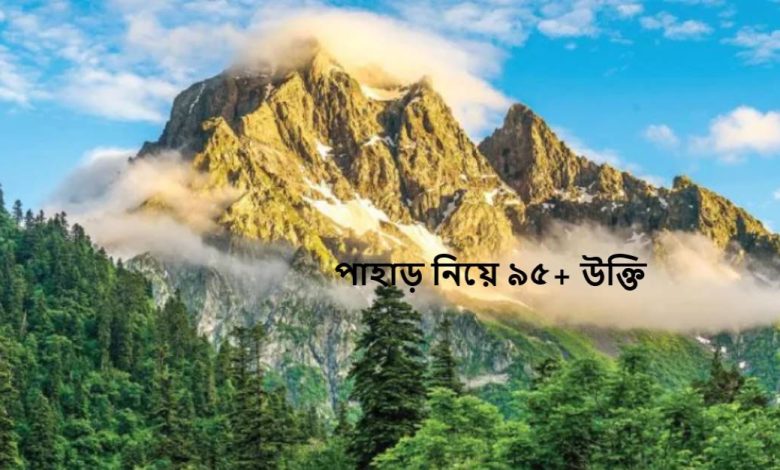 পাহাড় নিয়ে ৯৫+ উক্তি