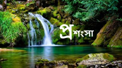 প্রশংসা