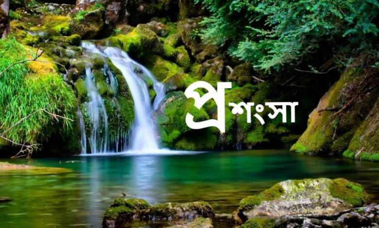 প্রশংসা