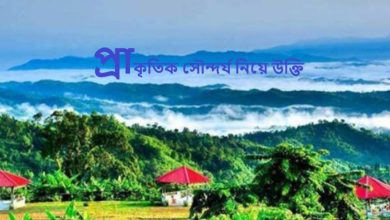 প্রাকৃতিক সৌন্দর্য নিয়ে উক্তি