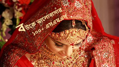 বউকে ভালোবাসার ১০০+ এসএমএস