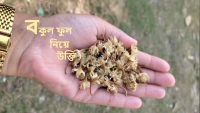 বকুল ফুল নিয়ে উক্তি