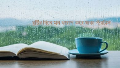 বৃষ্টির দিনে মন খারাপ করে থাকা স্ট্যাটাস