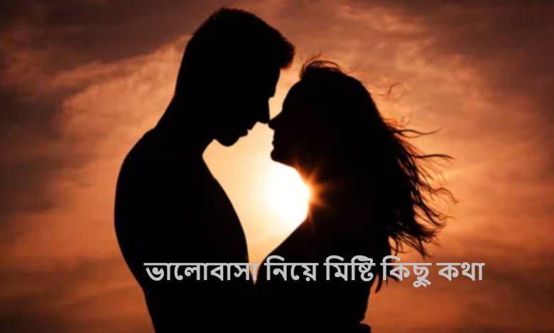 ভালোবাসা নিয়ে মিষ্টি কিছু কথা