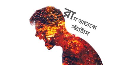 রাগ ভাঙানো এসএমএস, স্ট্যাটাস