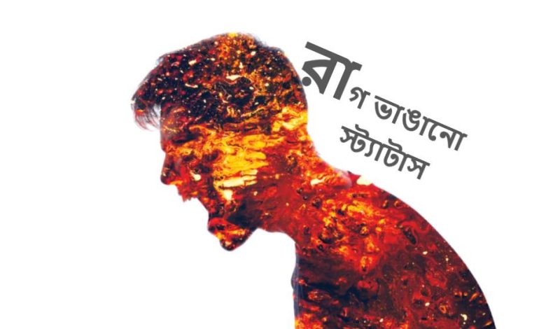 রাগ ভাঙানো এসএমএস, স্ট্যাটাস