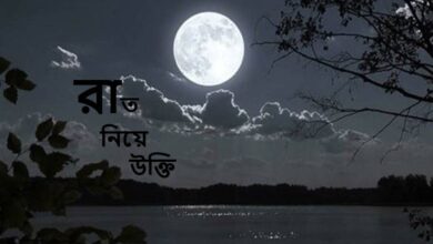 রাত নিয়ে উক্তি