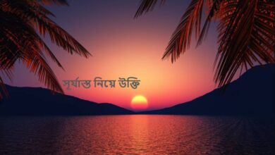 সূর্যাস্ত নিয়ে উক্তি