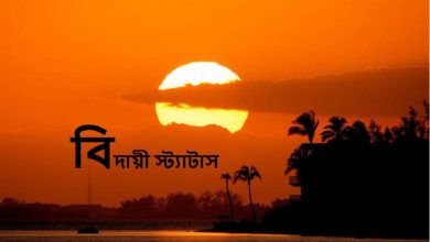 বিদায়ী স্ট্যাটাস