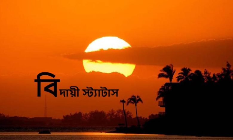 বিদায়ী স্ট্যাটাস