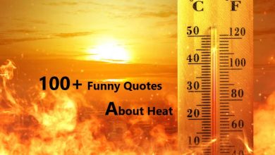 100+ Funny Quotes about Heat