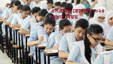 এসএসসি রেজাল্ট ২০২৫ দেখার নিয়ম