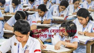 এসএসসি রেজাল্ট ২০২৫ মার্কশিট সহ
