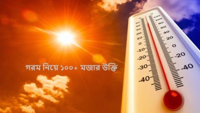 গরম নিয়ে ১০০+ মজার উক্তি