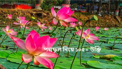 পদ্মফুল নিয়ে ১০৫+ উক্তি