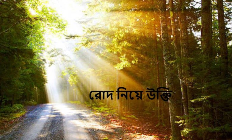 রোদ নিয়ে উক্তি