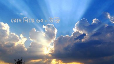 রোদ নিয়ে ৬৫+ উক্তি