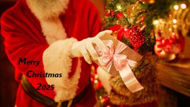 Merry Christmas greetings 2025